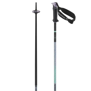 POLAR PRO S3 SKI POLES