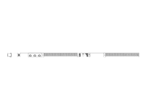 Server Technology PRO2 Switched PDU C2W42CE-EPAF2M00 - Master - power distribution unit (rack-mountable) - AC 230 V - 7.3 kW